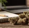 Top 8 Variétés Sativa Énergisantes – Idéales pour la journée et la créativité