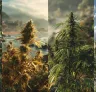 Qu’est-ce que les variétés de cannabis landrace et pourquoi sont-elles spéciales ?