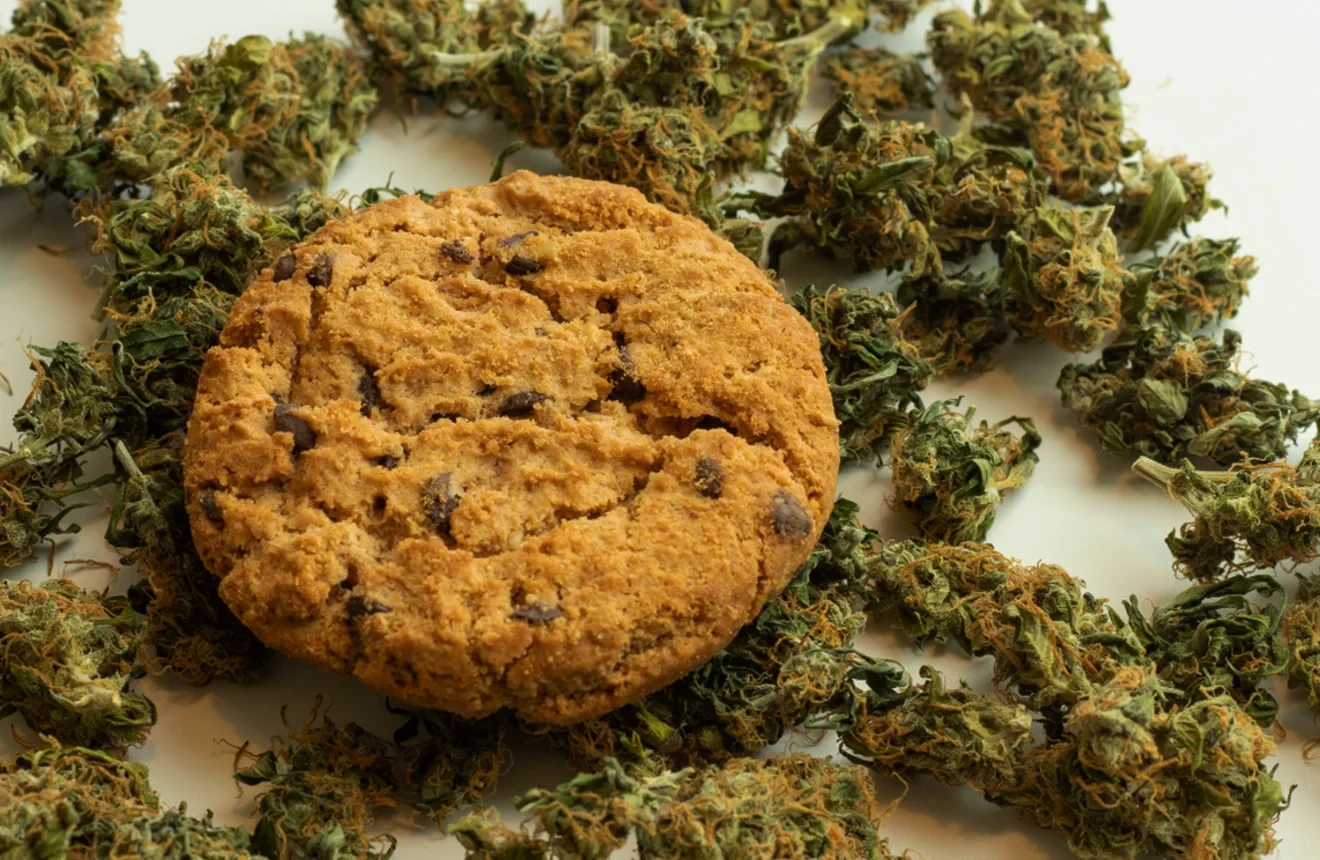 10 Variétés de Cannabis les plus Savoureuses de Tous les Temps 😋