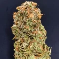 thumb of Pineapple Express by WeedSeedsExpress grown by CorinnaFarm