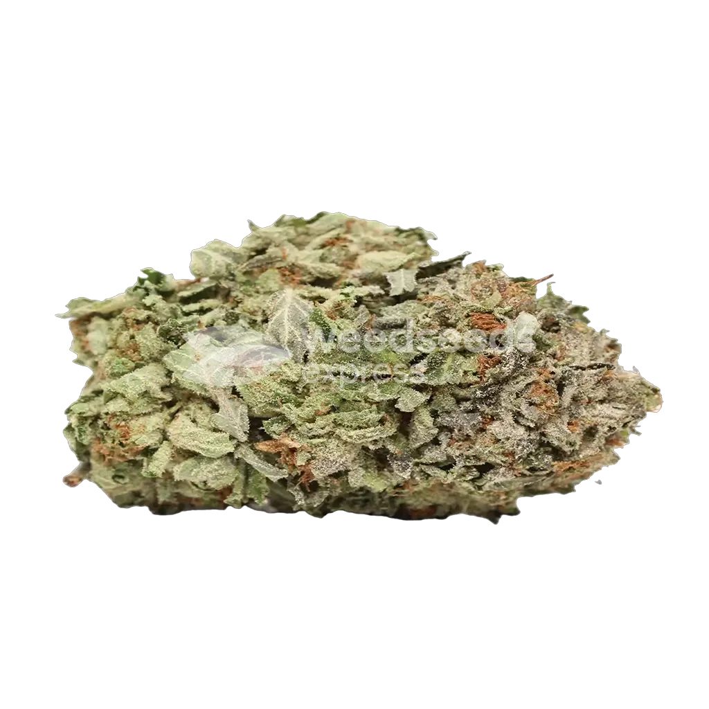 9 Pound Hammer Bud