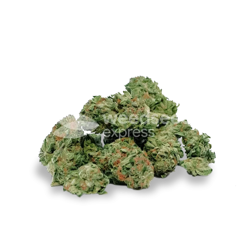 ACDC bud