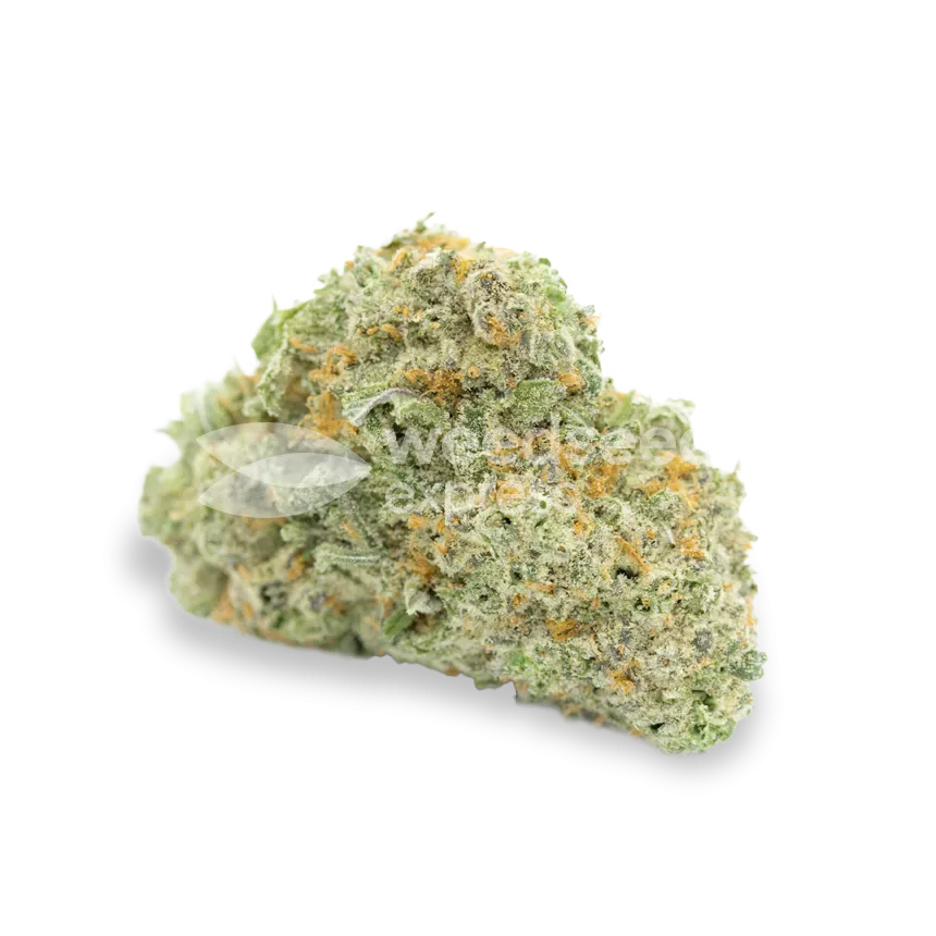 Amnesia Haze Bud