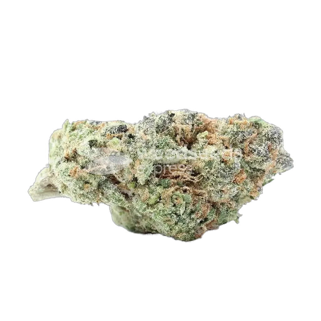 Animal Cookies Bud