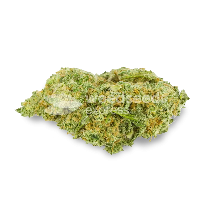 Banana Kush bud