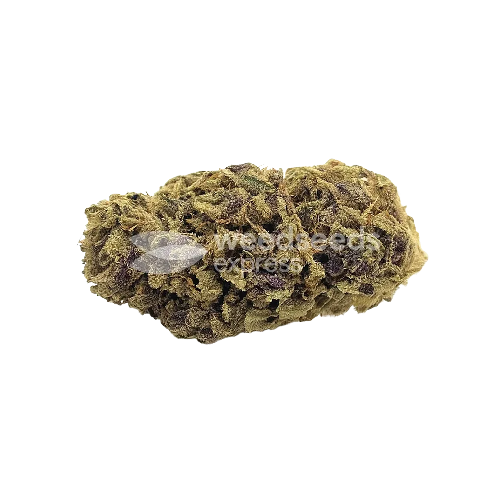 Bud de Blackberry Moonrocks Auto