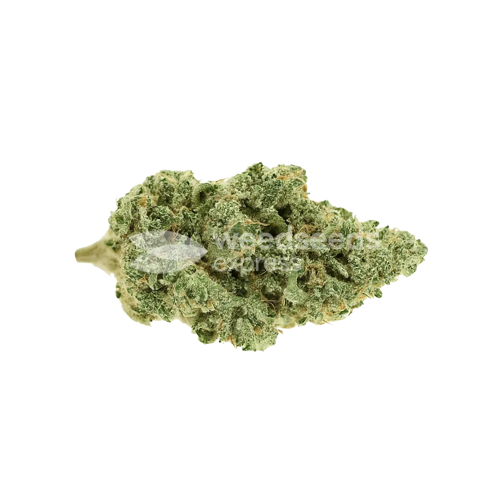 Bud de Blue Amnesia Auto