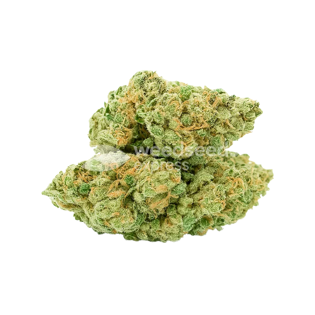 Bud de Blue Dream Auto