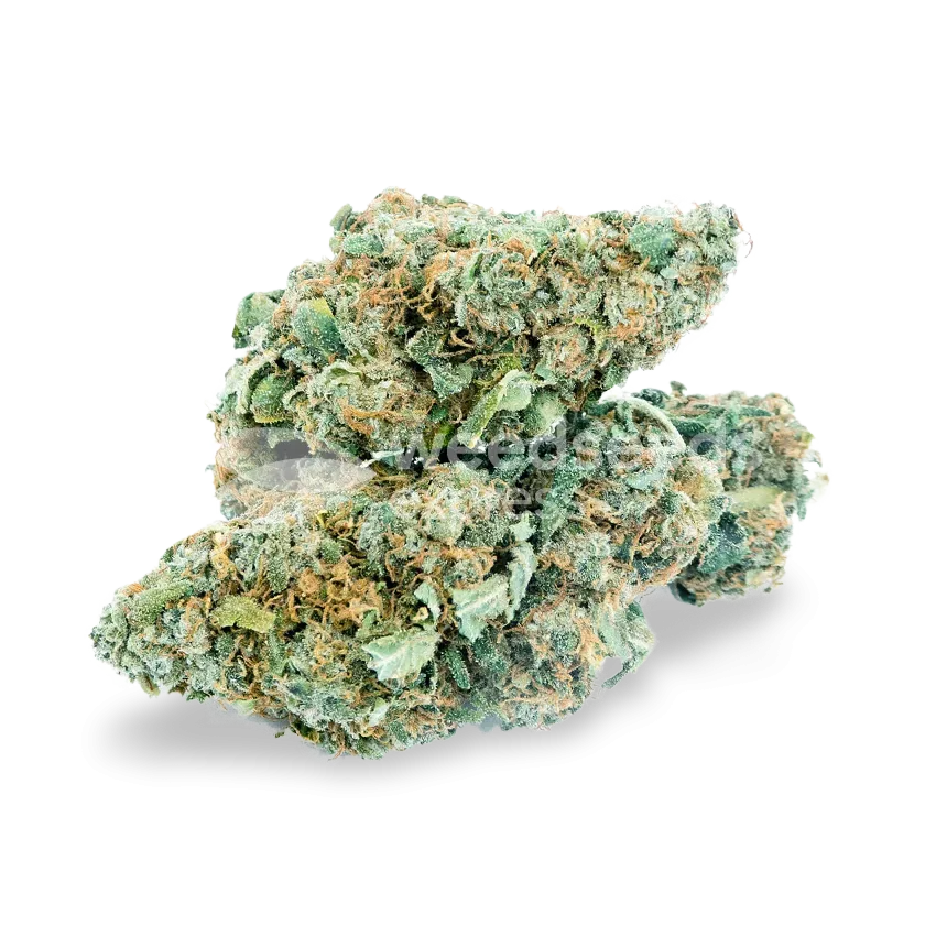 Blue Dream Bud