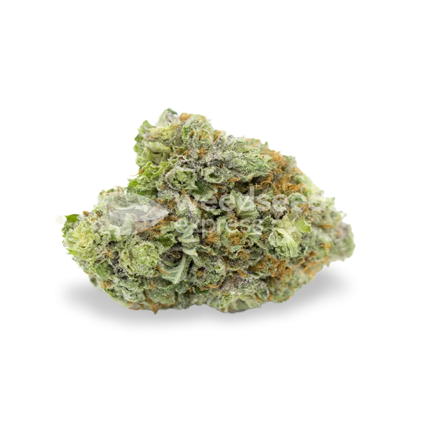 Bruce Banner bud