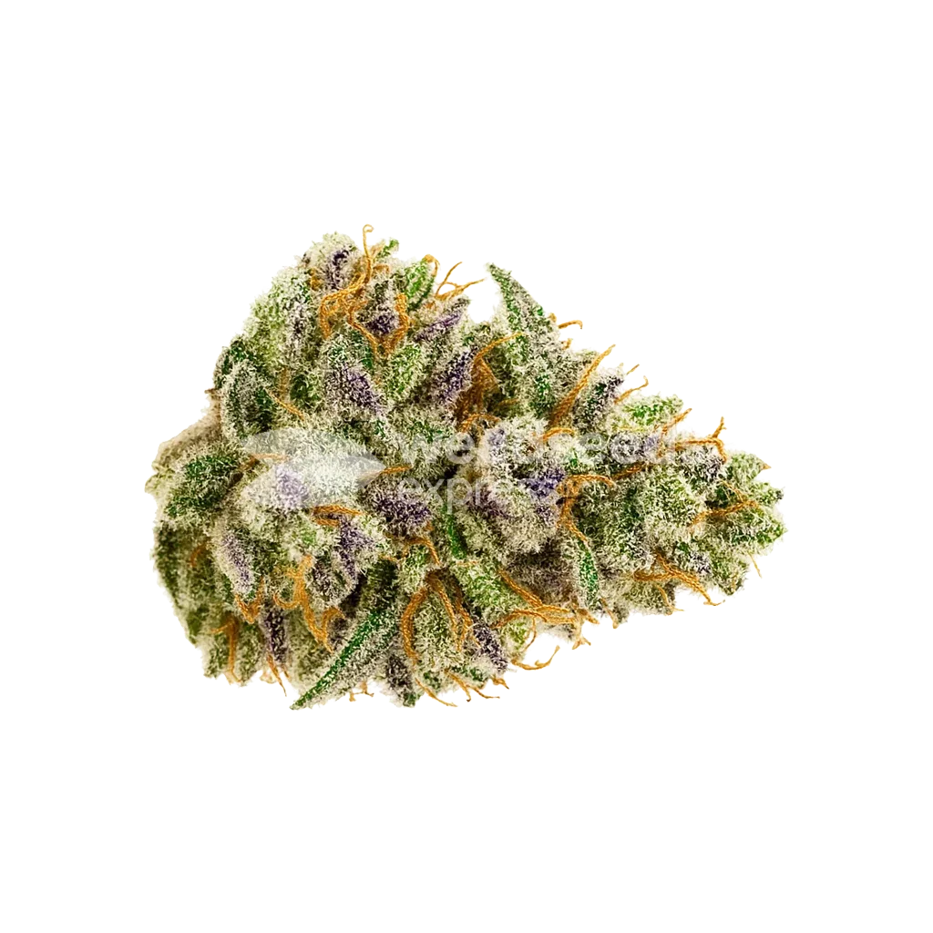 Bud de Bubblegum Sherbet Auto