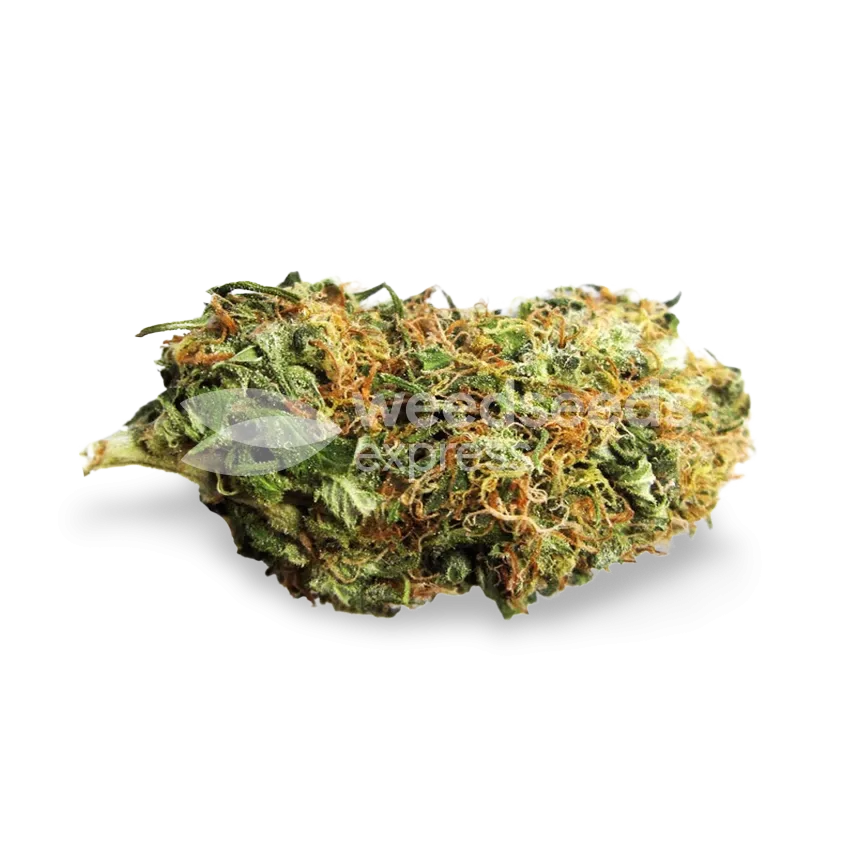 CBD Diesel bud