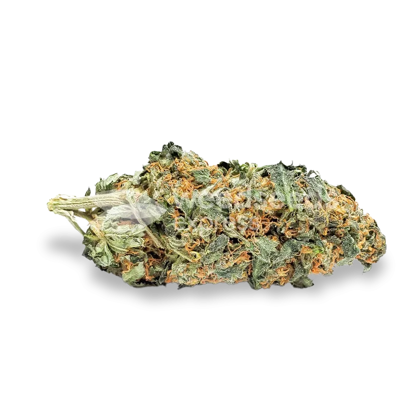 CBD Express bud