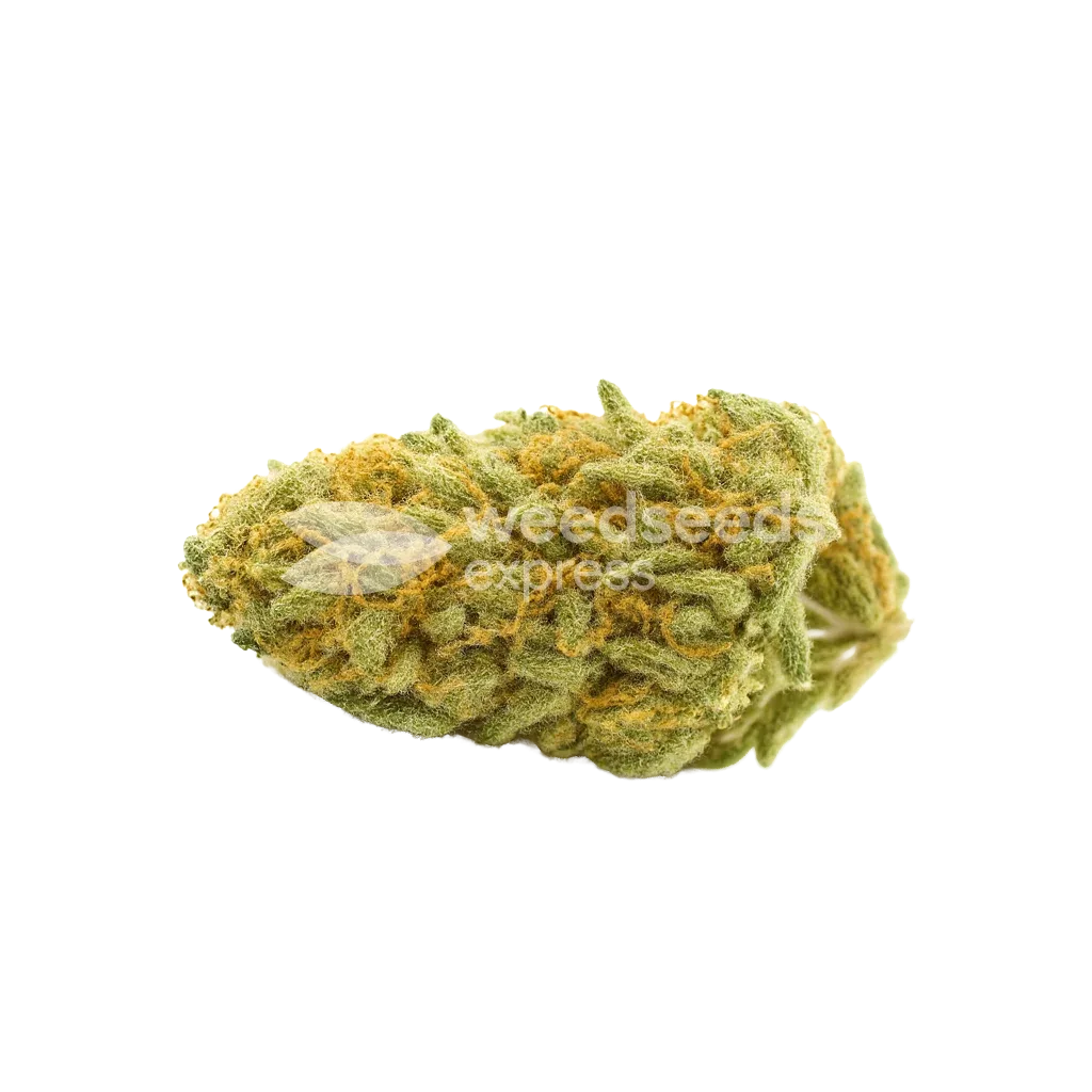 Bud de Cheese Auto