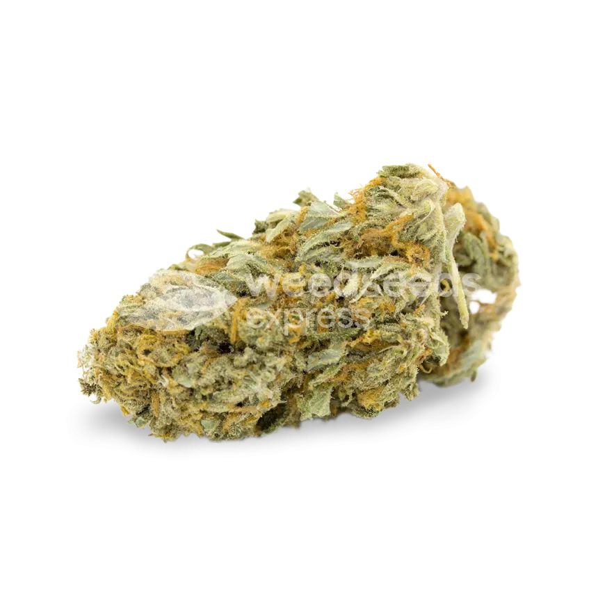 Cheese bud