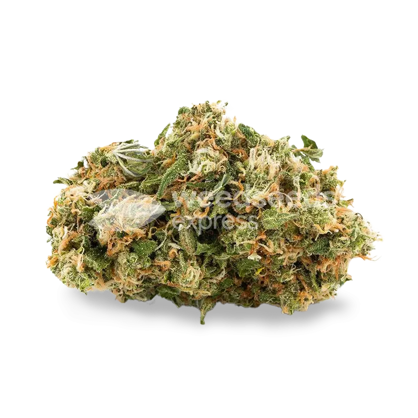 Chemdawg Bud