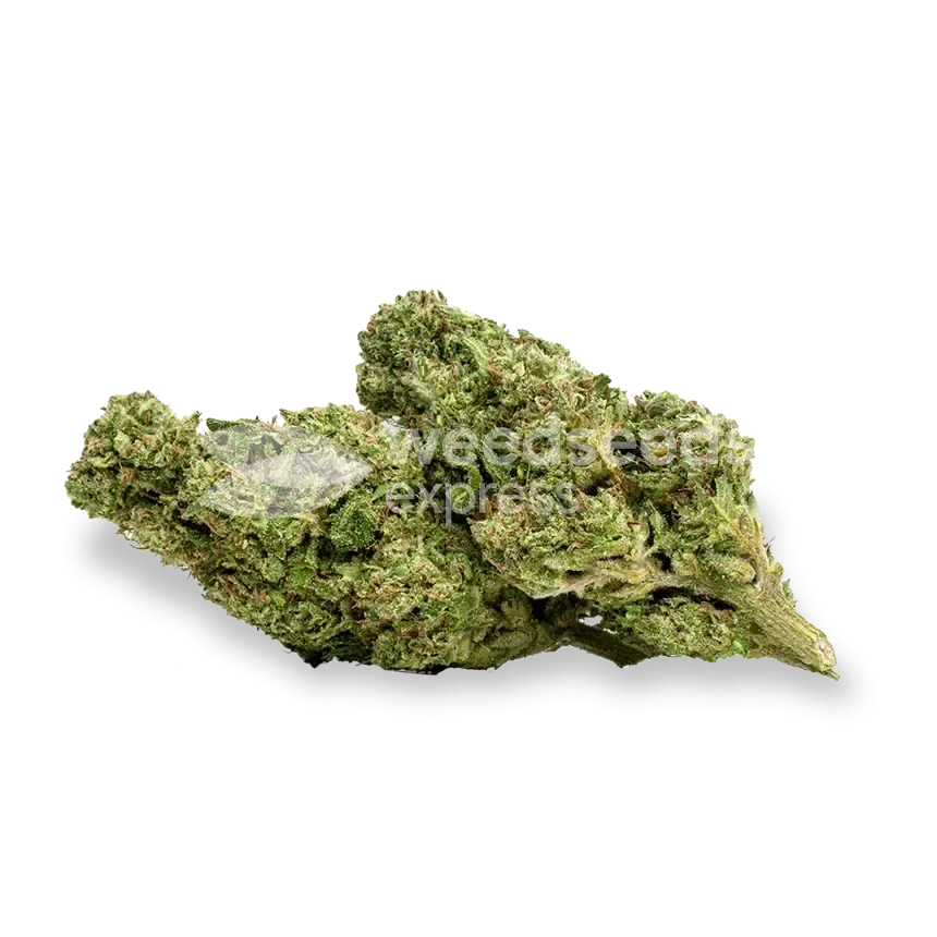 Cherry AK bud
