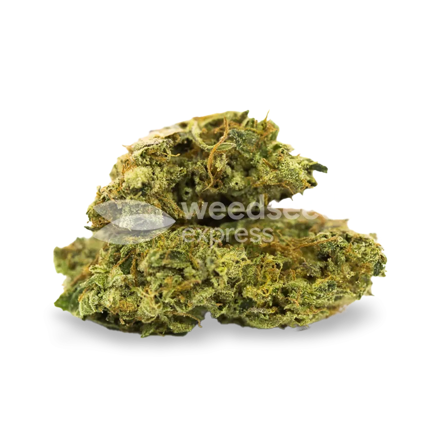 Chiquita Banana bud