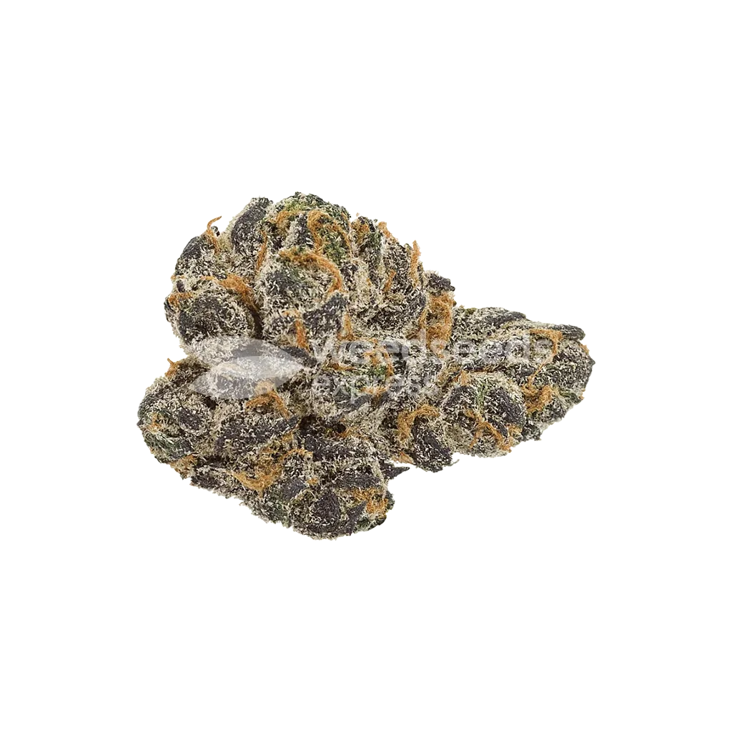 Bud de Cookies and Cream Auto