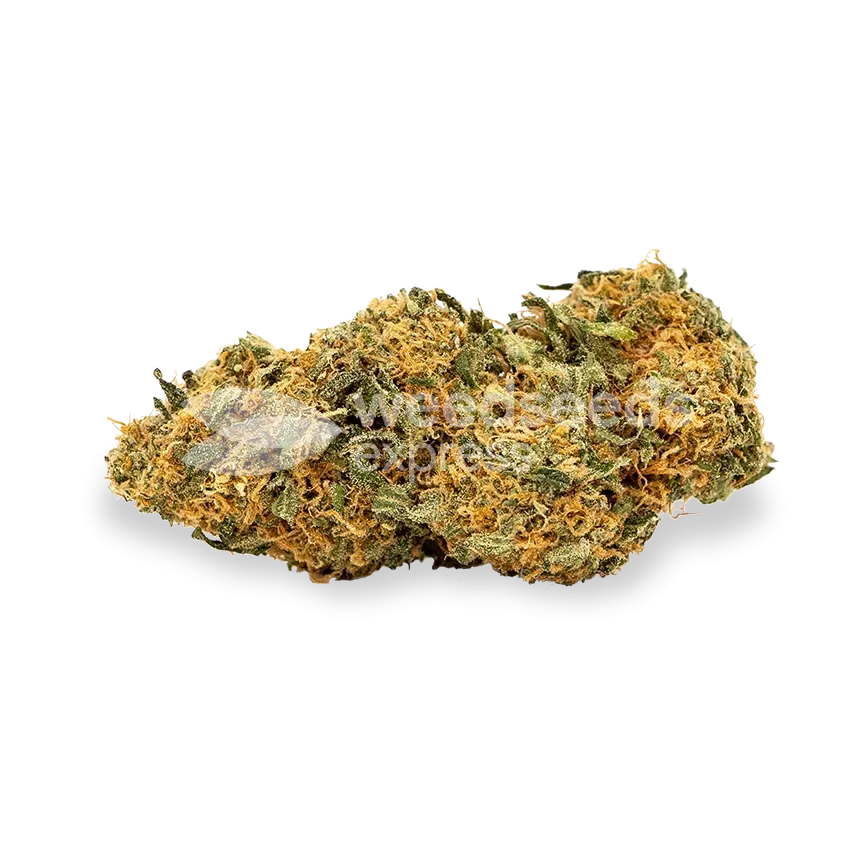 Critical 47 bud