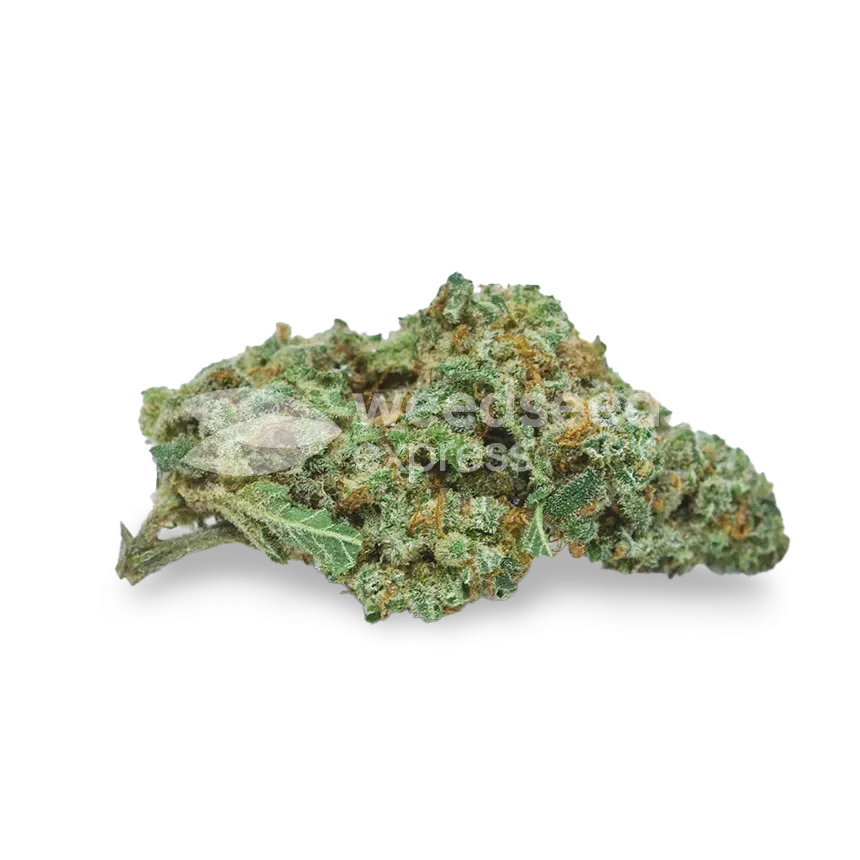 Diesel bud