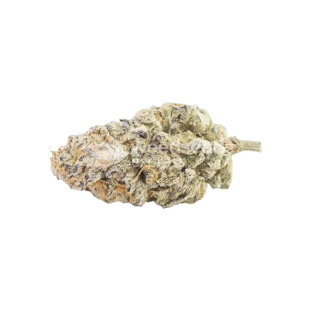 Bud de Do-si-Dos Auto