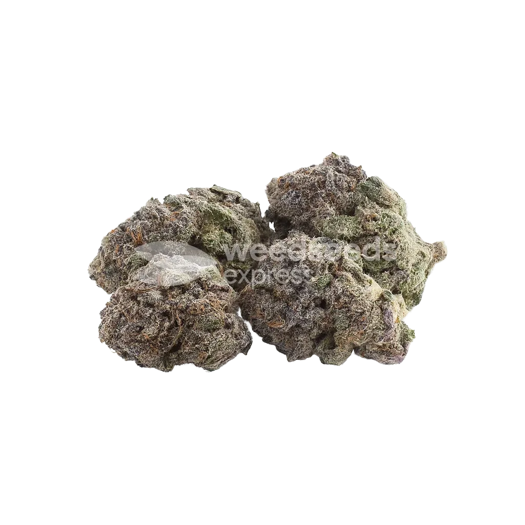 Bud de Durban Poison Auto