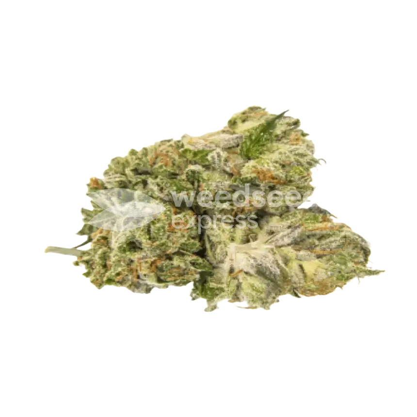 Glookies Bud