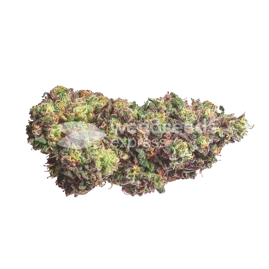 Gods Gift Bud