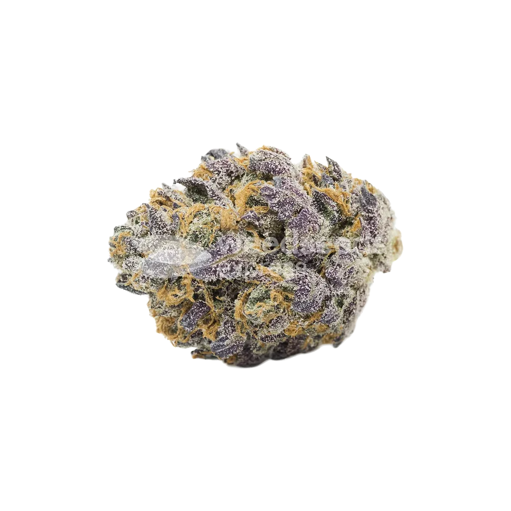 Bud de Granddaddy Purple Auto