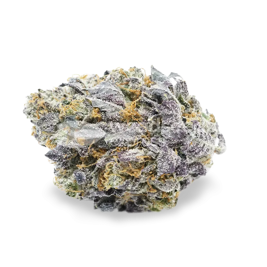 Granddaddy Purple bud
