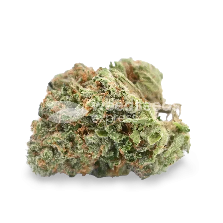 Grape Ape bud