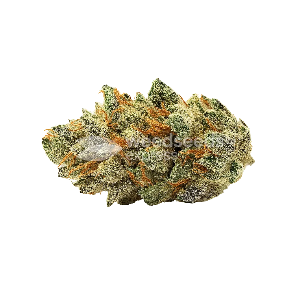 Bud de Ice Cream Cake Auto