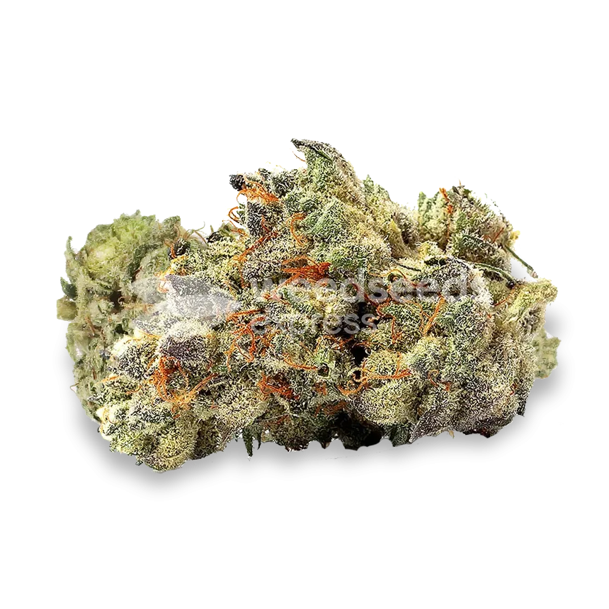 Ice Cream Cake bud