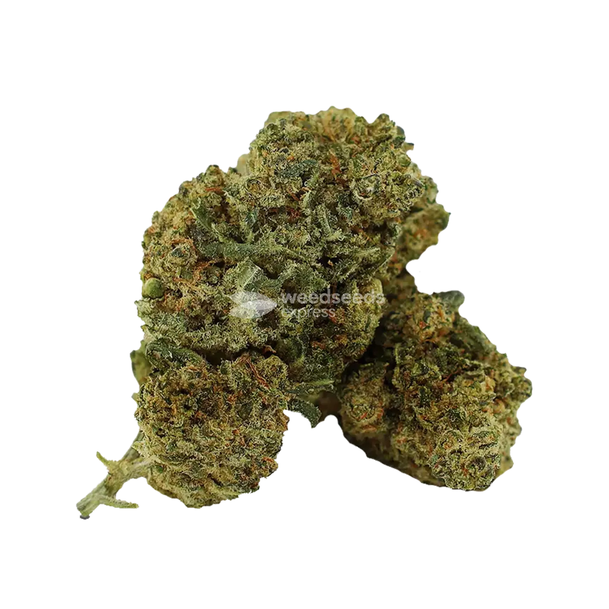 Kalifa Kush Bud