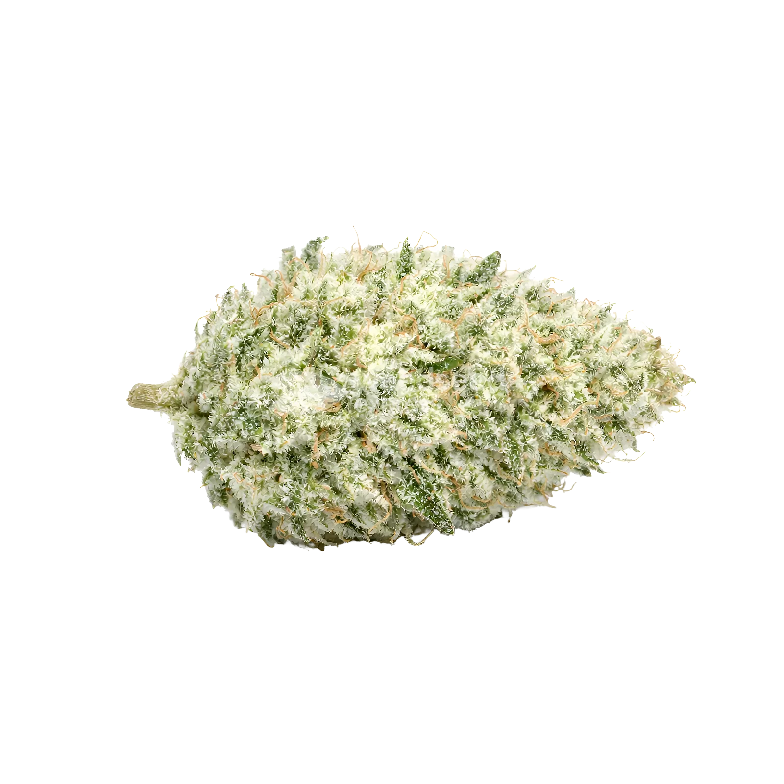 Tête de cannabis Lamb's Bread Autoflower