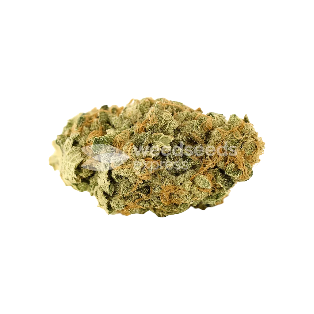 Bud de Lemon Auto