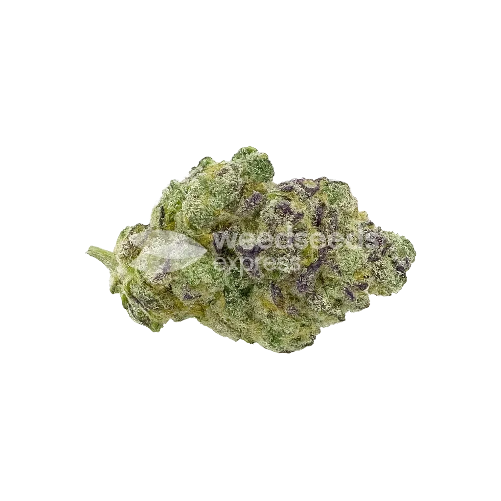Bud de Lemon Cherry Gelato Auto