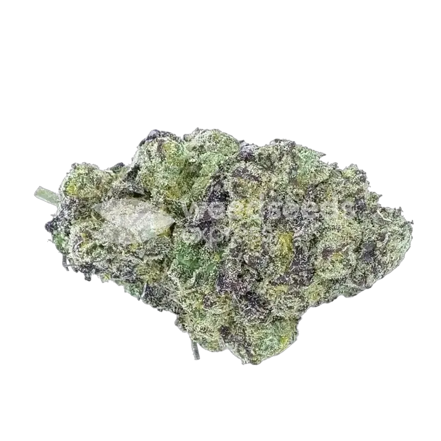Lemon Cherry Gelato bourgeon