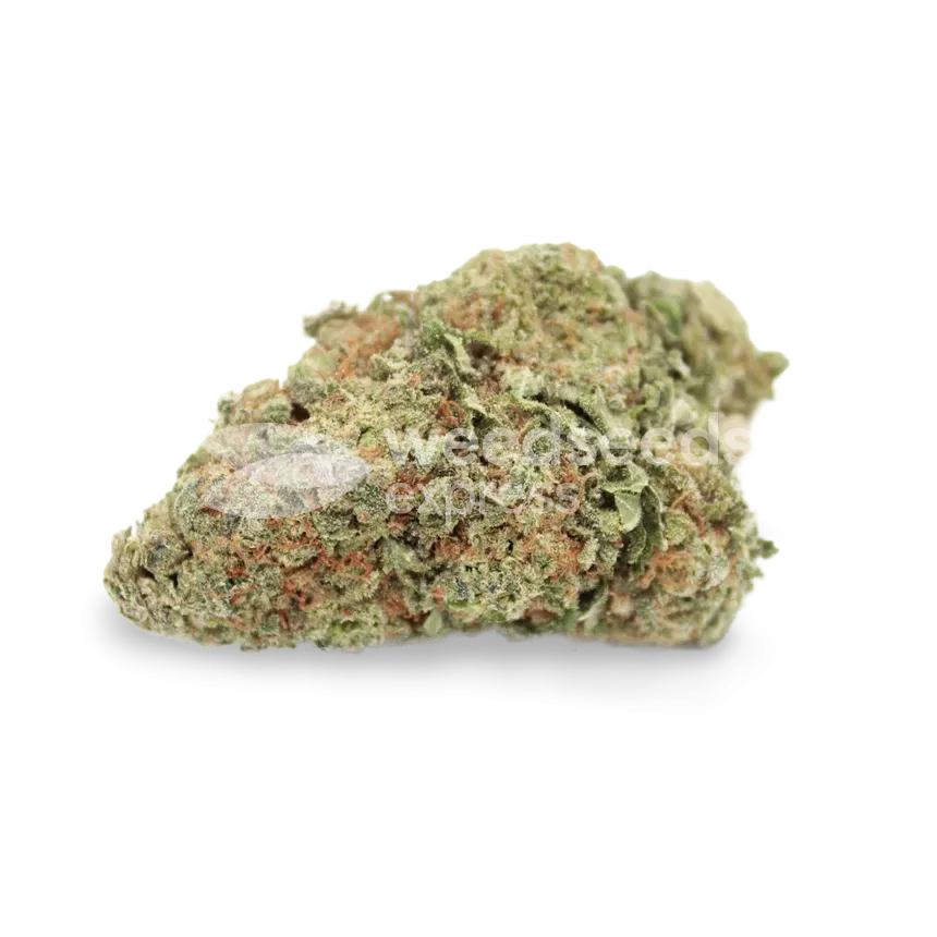 Lithium OG Kush bud