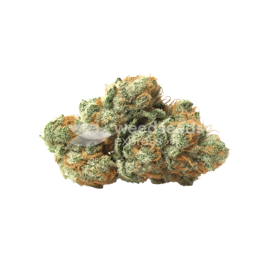 Bud de LSD Auto