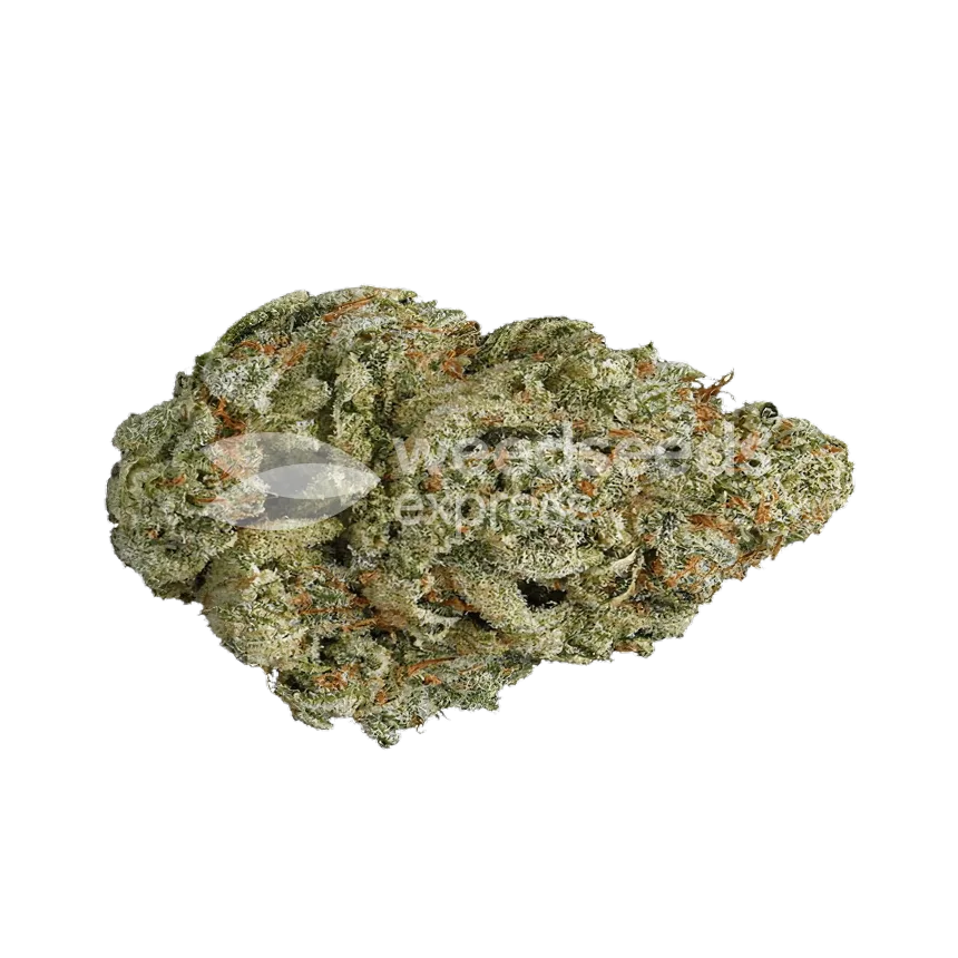 Mamba Negra CBG Bud