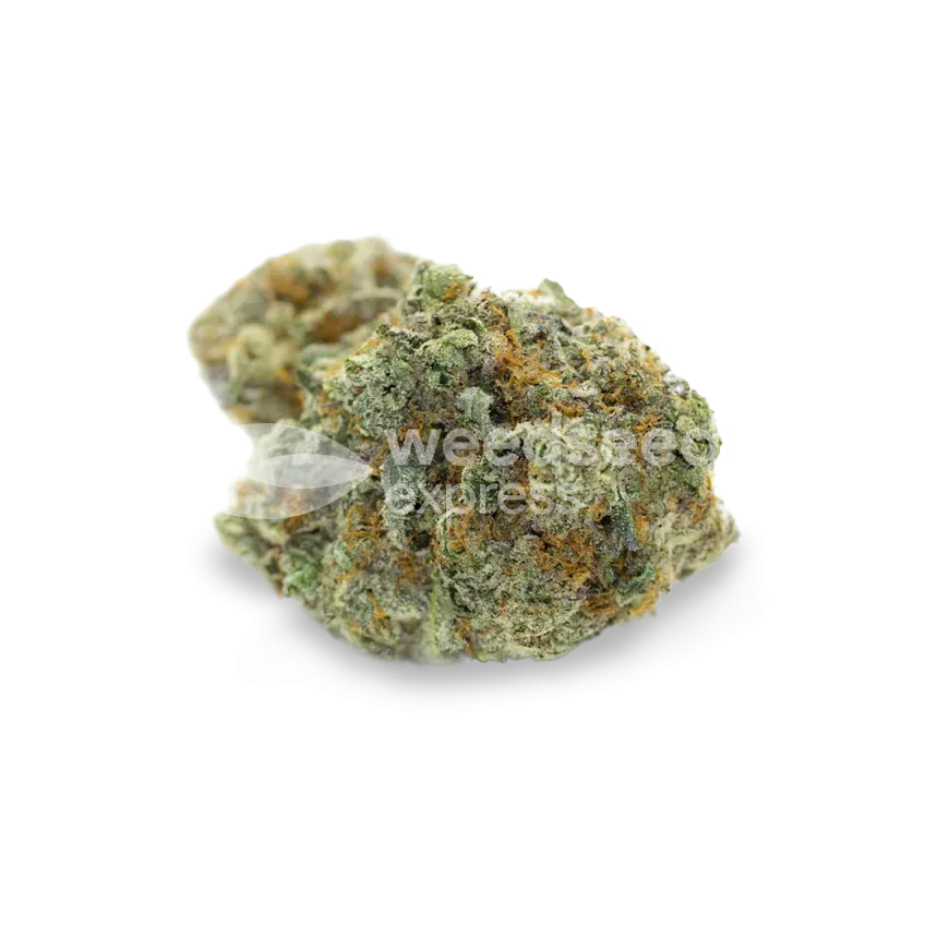 OG Kush bud