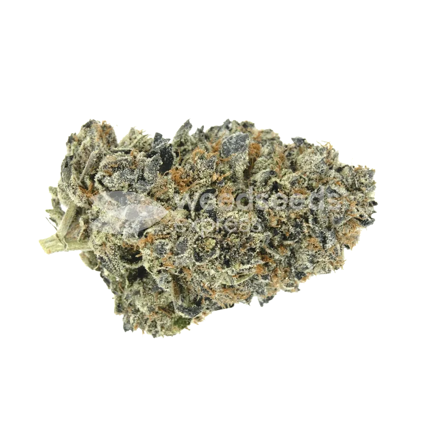 Oreoz Bud