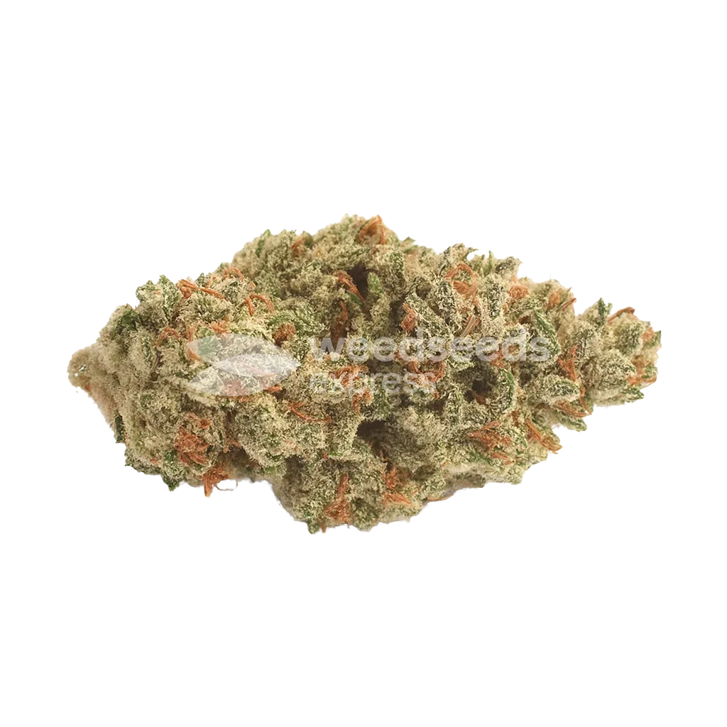 Bud de Peanut Butter Breath Auto