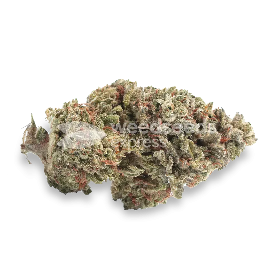 Peanut Butter Breath Bud