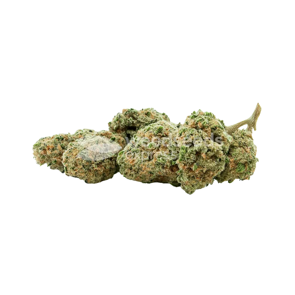 Bud de Pineapple Express Auto