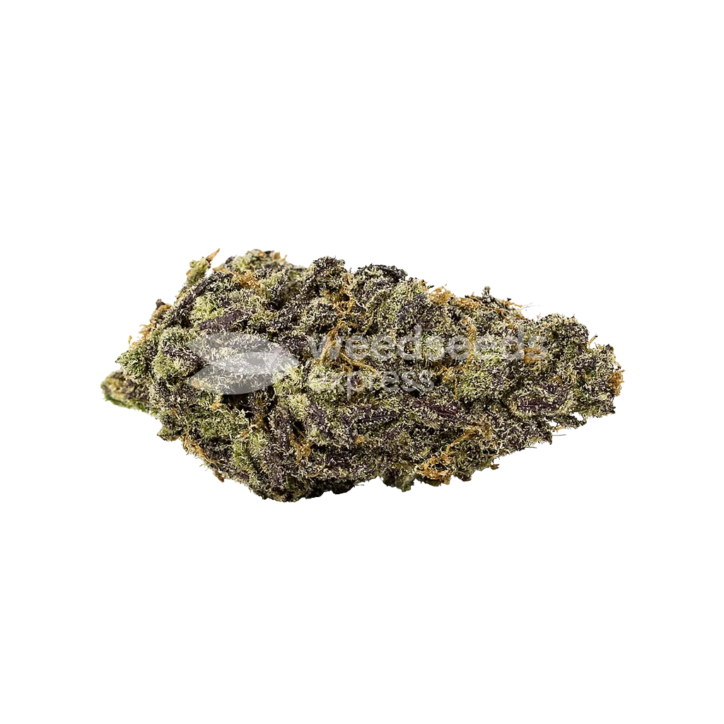 Bud de Pink Rozay Auto