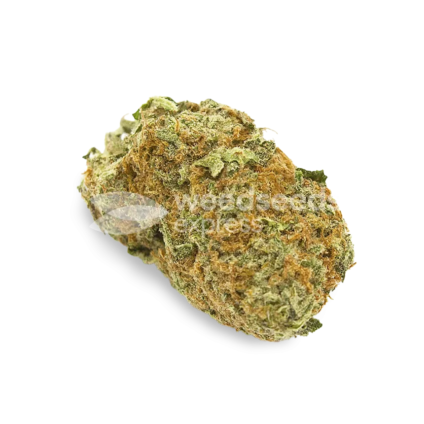 Power Kush bud