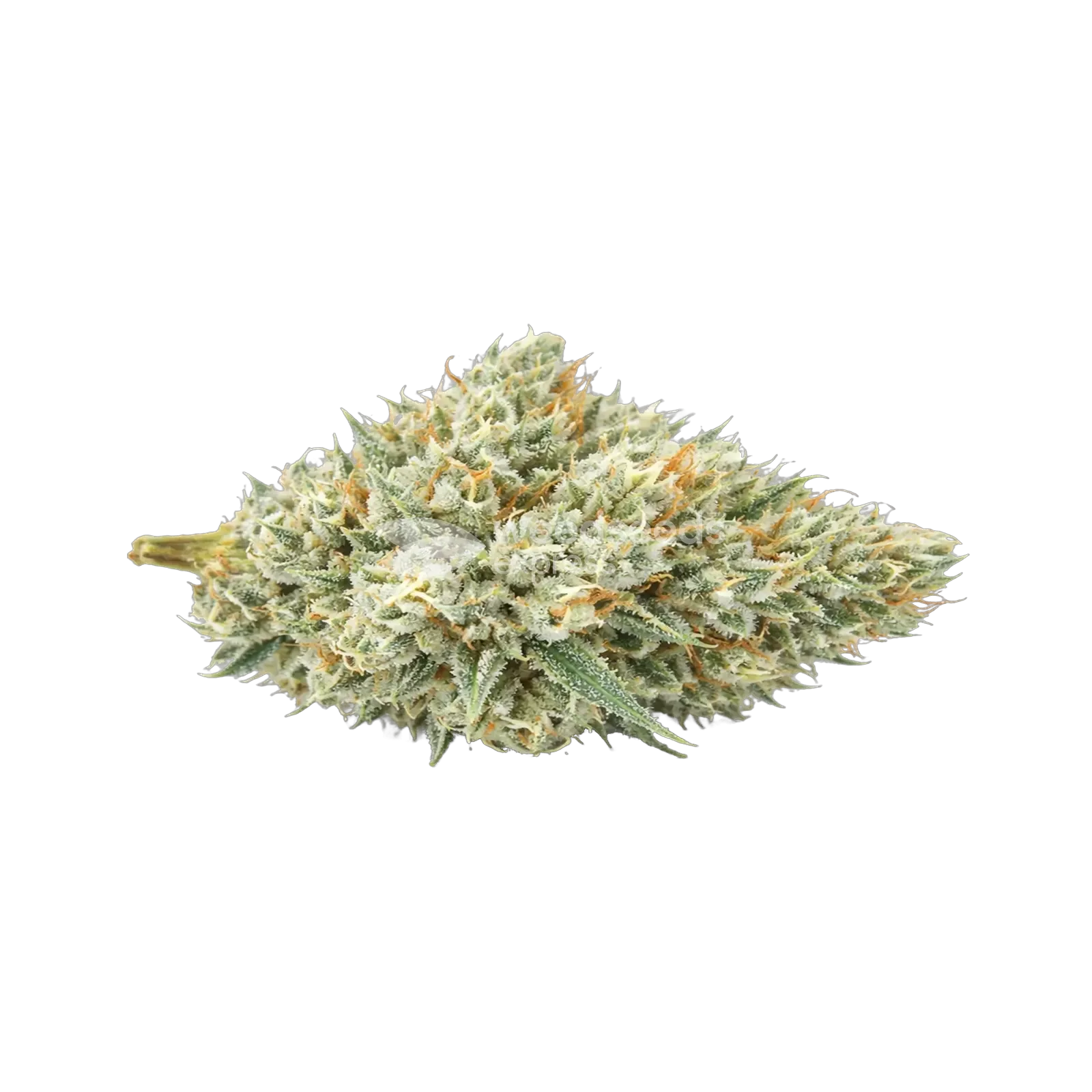 Tête de cannabis Puff Pastry